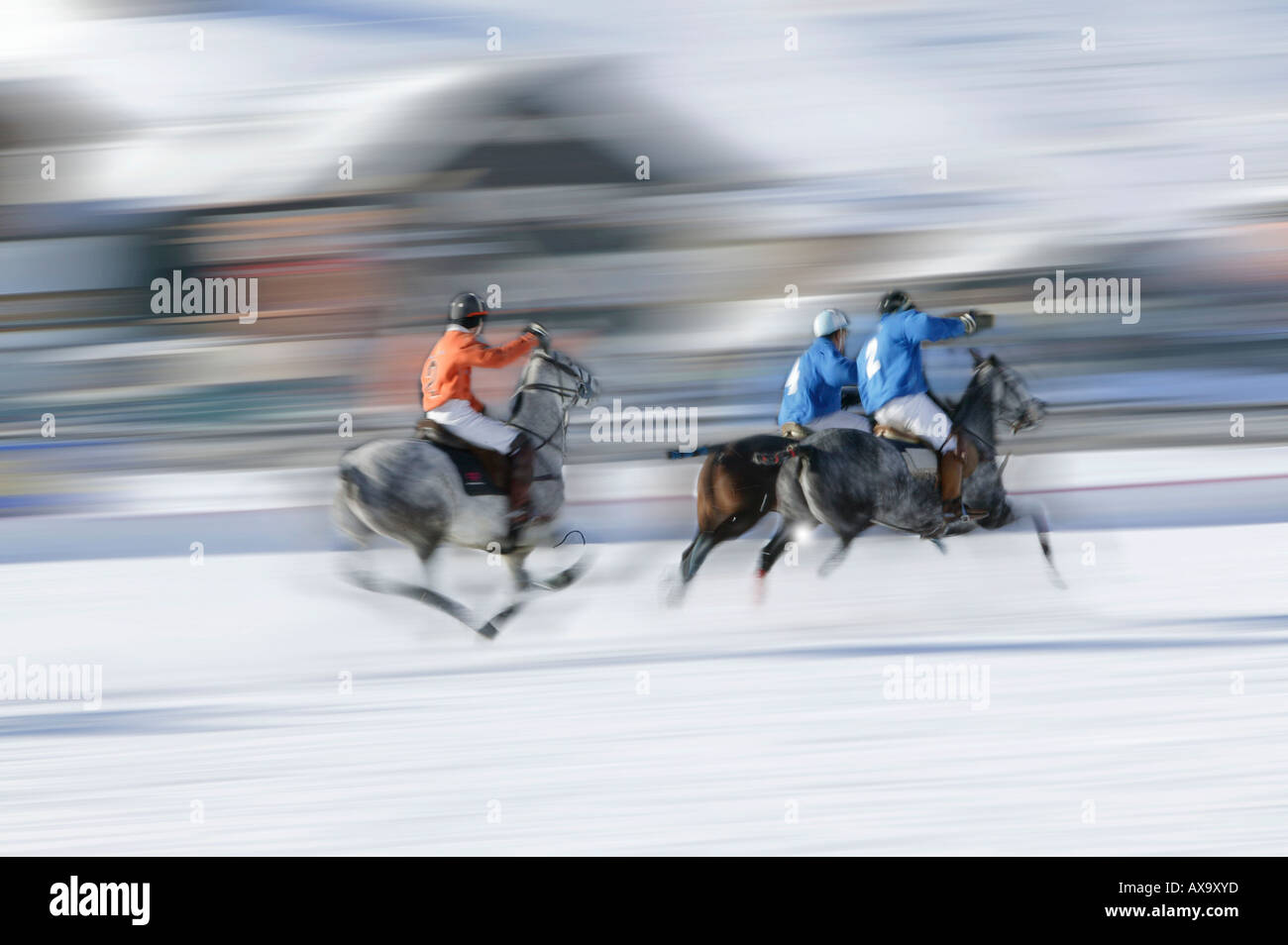 Polo on snow, International tournament in Livigno, Italy Stock Photo