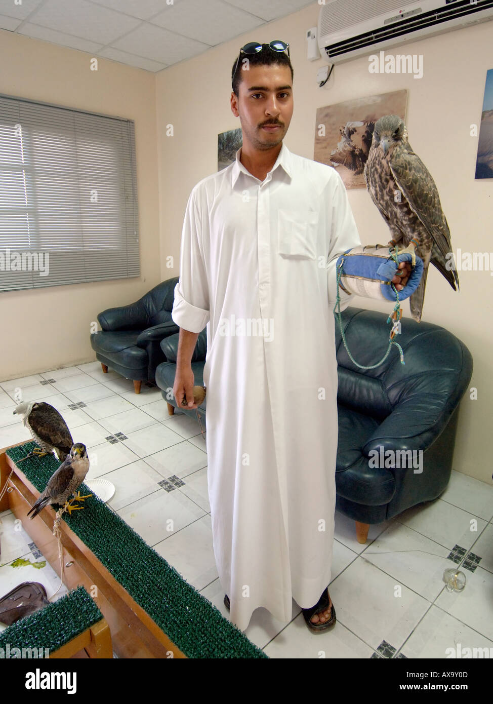 A Qatari displays his tethered falcon in the waiting room of the falcon