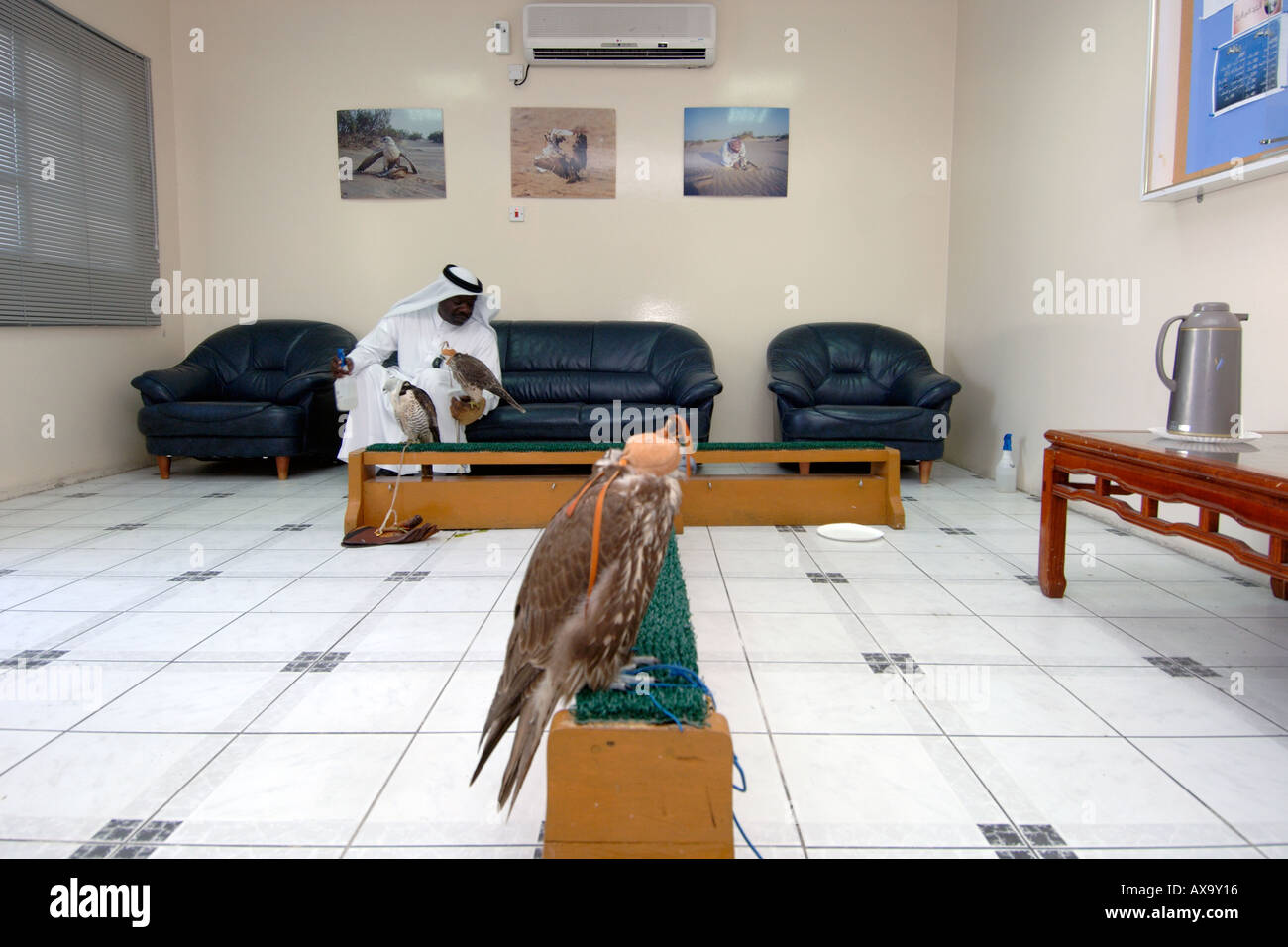 A Qatari With Hooded Falcons In The Waiting Room Of The Falcon