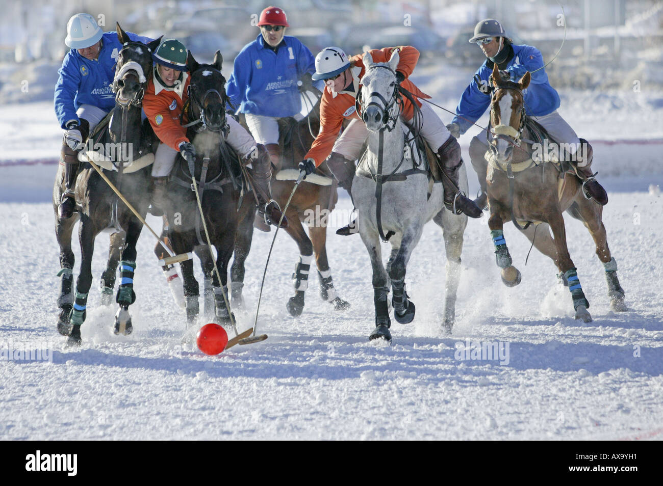 Playing polo in the snow, International tournament in Livigno, Italy Stock Photo