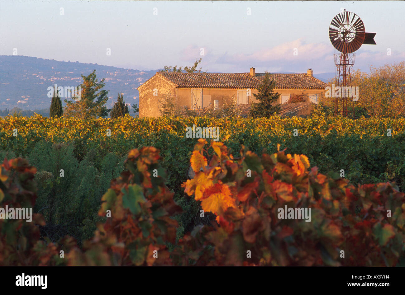 Landhaus, Weingut, Provence Frankreich Stock Photo