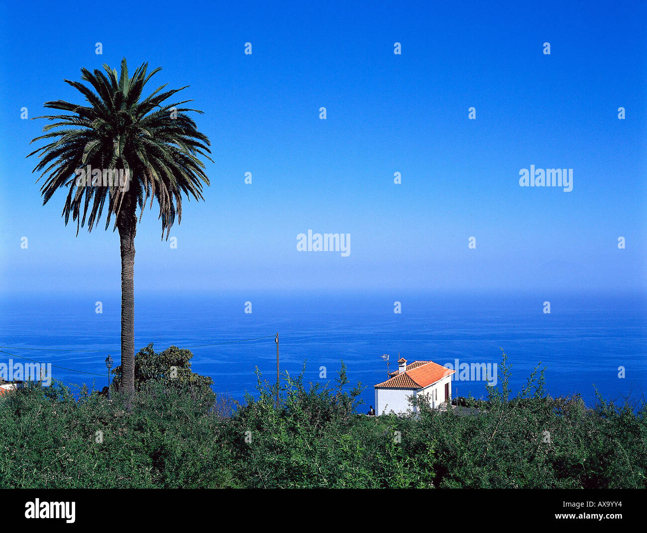 Haus mit Palme bei Tigalate, La Palma Kanarische Inseln Stock Photo