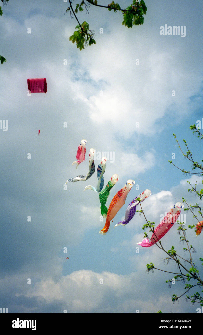 Kites flying in the sky Stock Photo