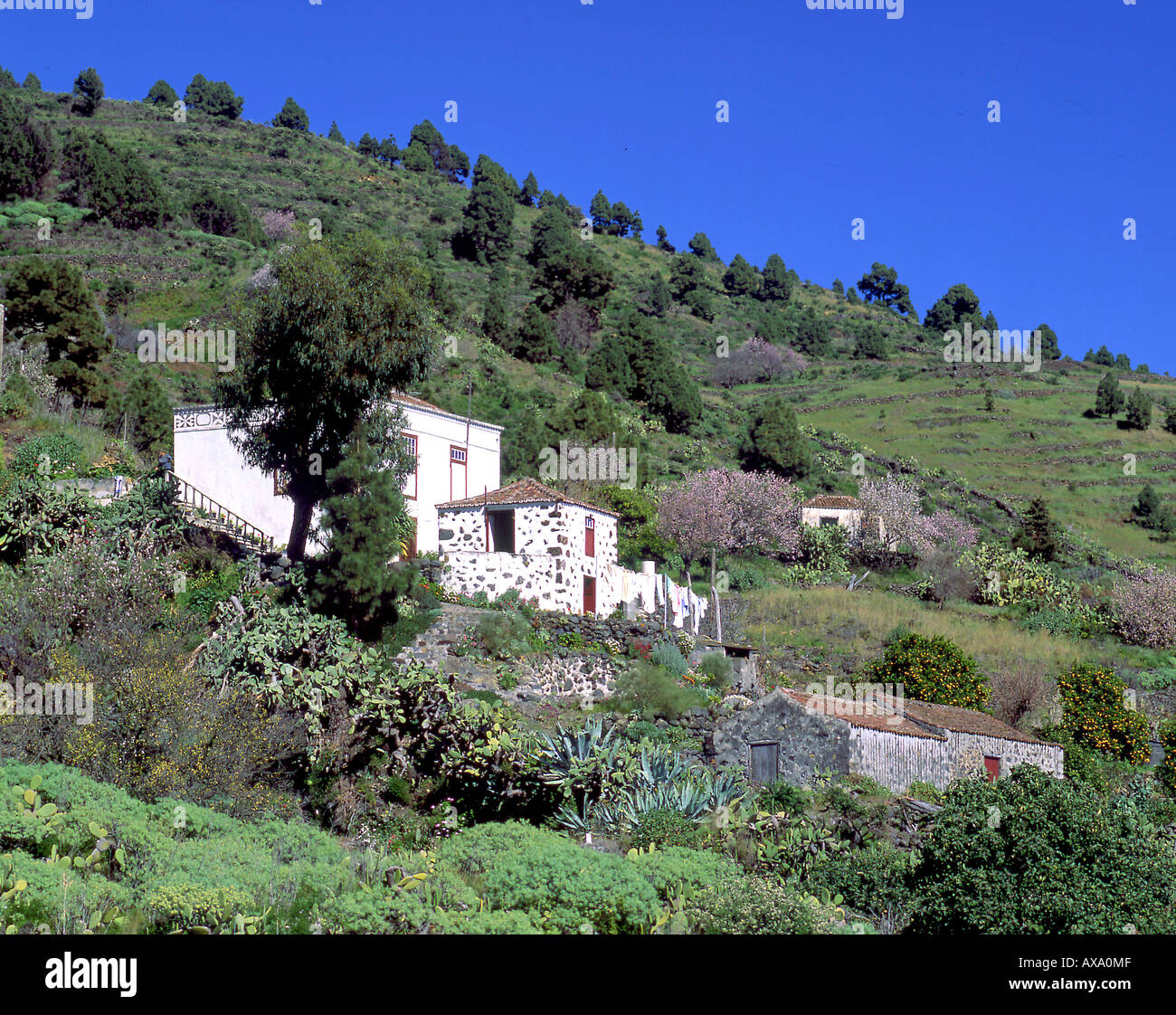 Landhaus bei Tigalate, La Palma, Kanarische Inseln Spanien Stock Photo