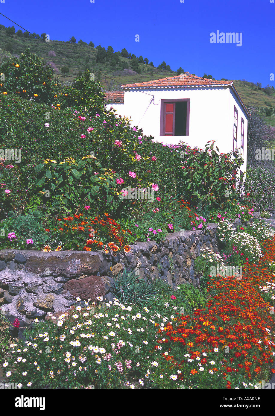 Haus mit Blumen, Tigalate, La Palma, Kanarische Inseln Spanien Stock Photo