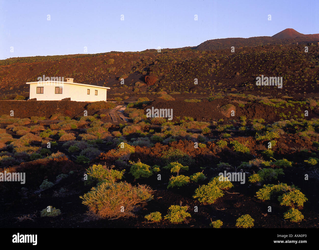 Volcanic landscape with country house, Fuencaliente, La Palma, Canary Islands, Spain Stock Photo