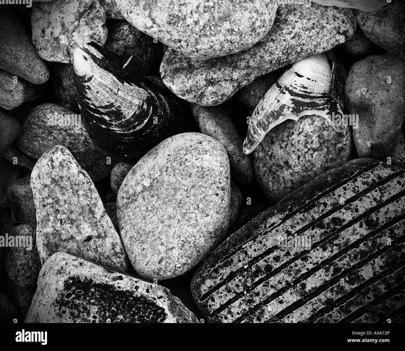 Close-up view of pebbles on the shore of Aberdeen Harbor - Aberdeen - Scotland - UK Stock Photo