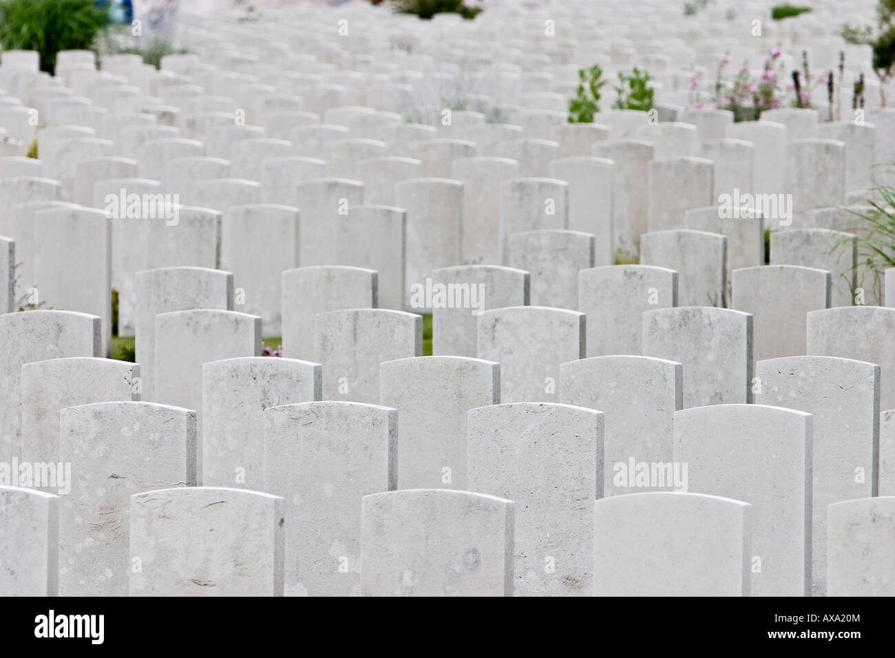 Row upon row of graves in Tyne Cot Military Cemetery - Ypres Belgium Stock Photo