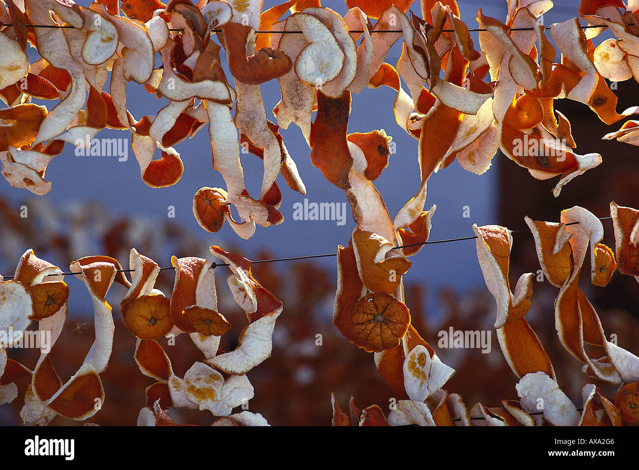 Trocknende Orangenschalen, Alora, Weisses Dorf, Provinz Malaga Andalusien, Spanien, Europa Stock Photo