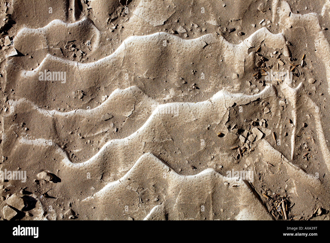 Ripple marks on a dry stream bed Stock Photo
