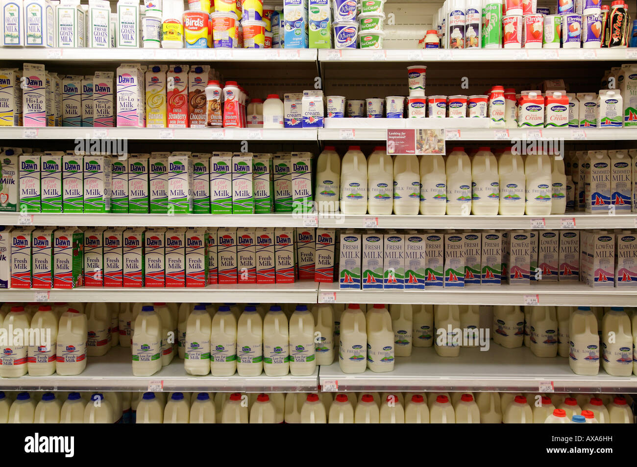 milk shelf in a supermarket Stock Photo Alamy