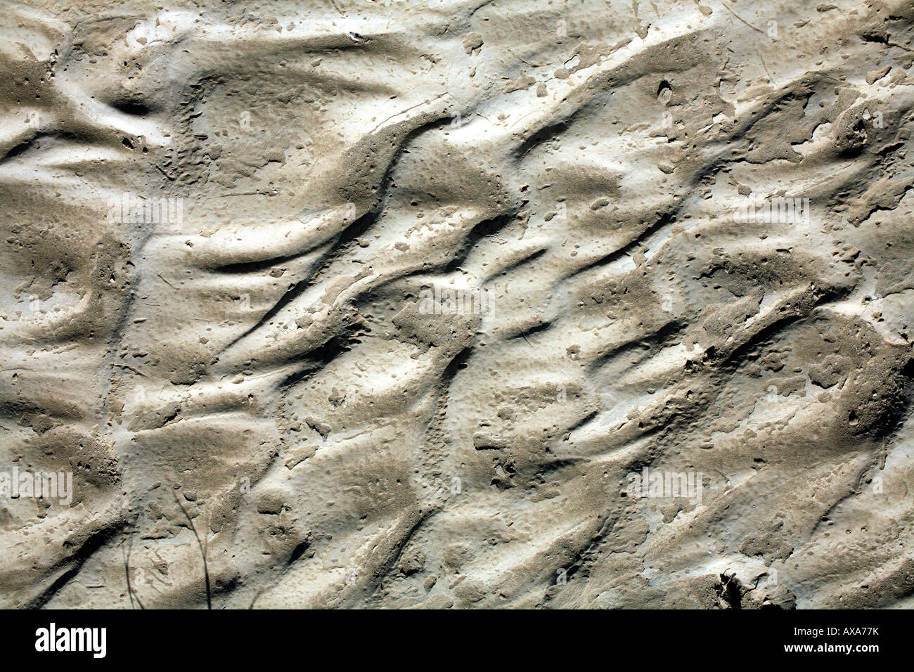 Stream Bed Ripples Ripple marks on a dry stream bed Stock Photo - Alamy