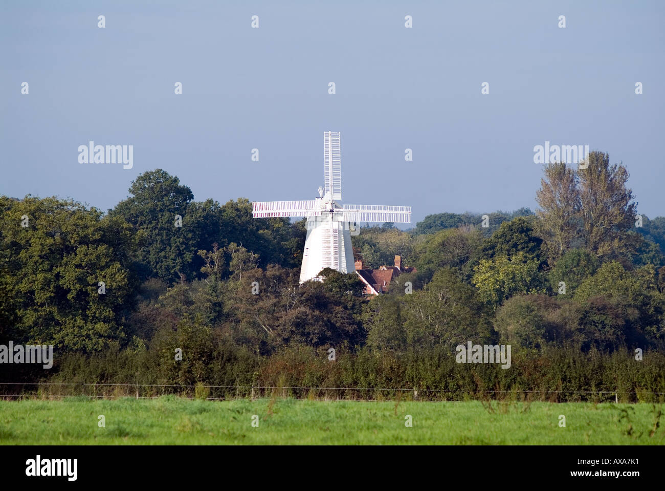 Shipley sussex hires stock photography and images Alamy