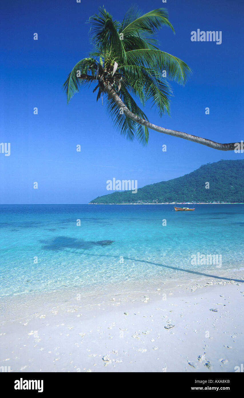 Palme am Strand, Pulau Perhentian, Ostkueste Terenganu, Malaysia, Asien Stock Photo