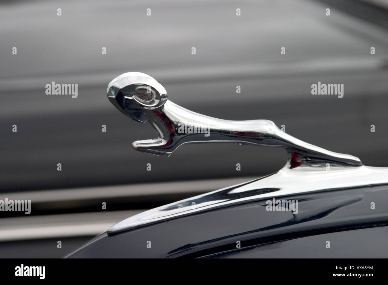 Classic car hood ornament Stock Photo Alamy