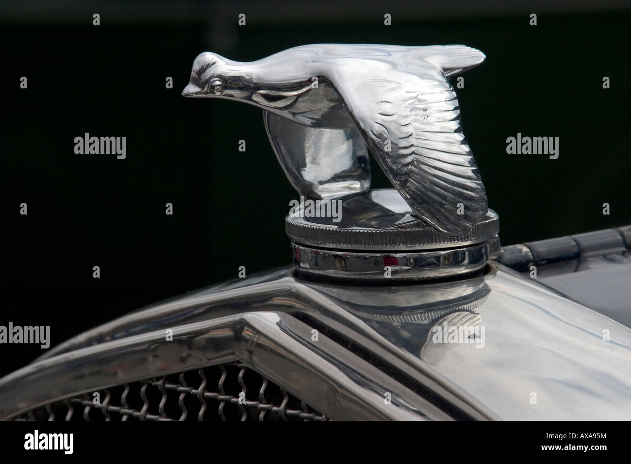Classic car hood ornament Stock Photo Alamy
