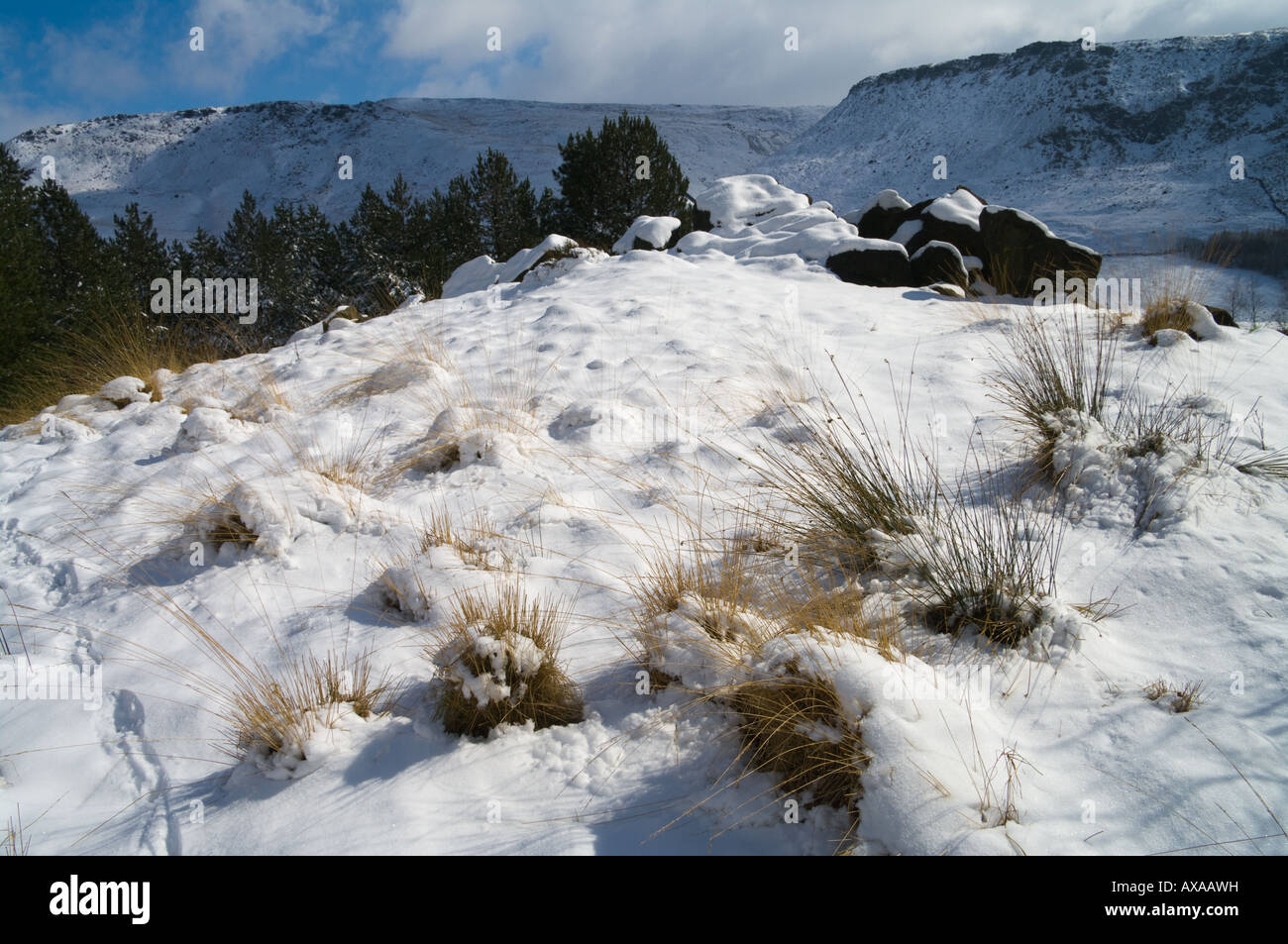 Grasses and snow with Pennine hills behind Stock Photo