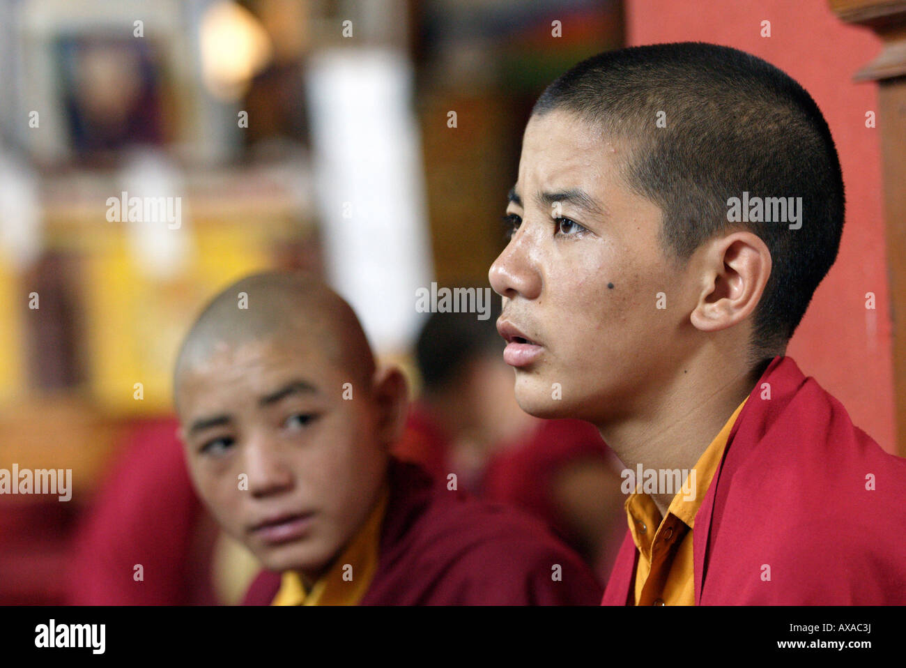 Young Buddhist monks meditating in a monastery, India Stock Photo Alamy