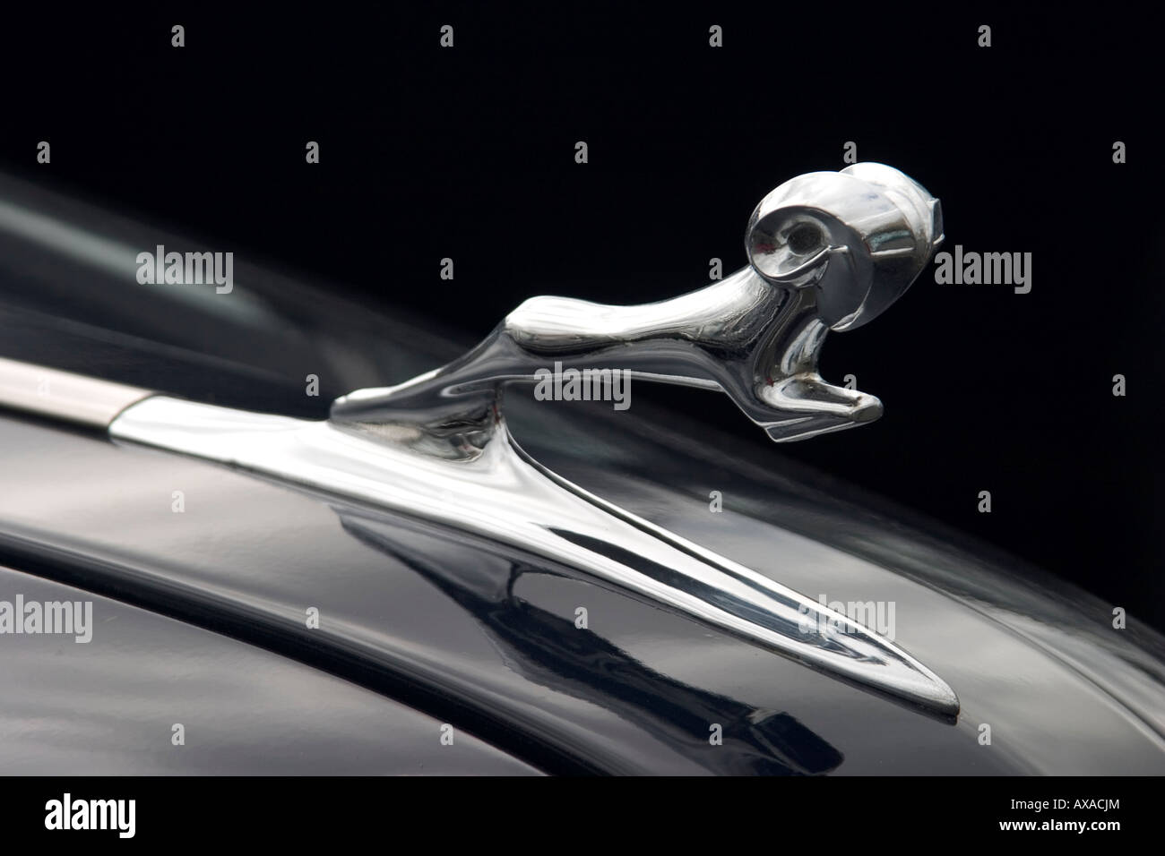 Classic car hood ornament Stock Photo Alamy