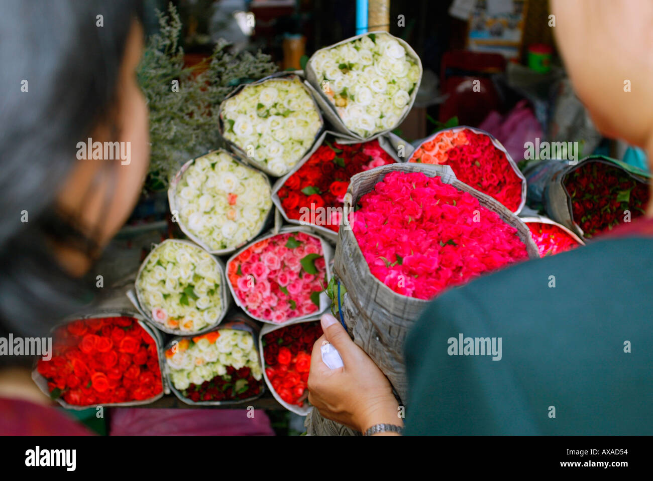 Two women choose a bunch of red roses Chiang Mai Flower Market north ...