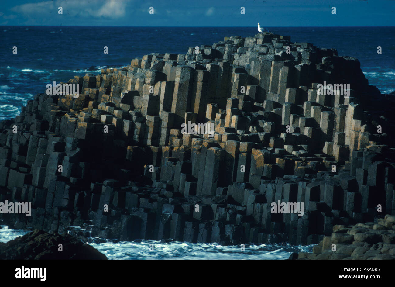 Giants Causeway Antrim, Nordirland Stock Photo