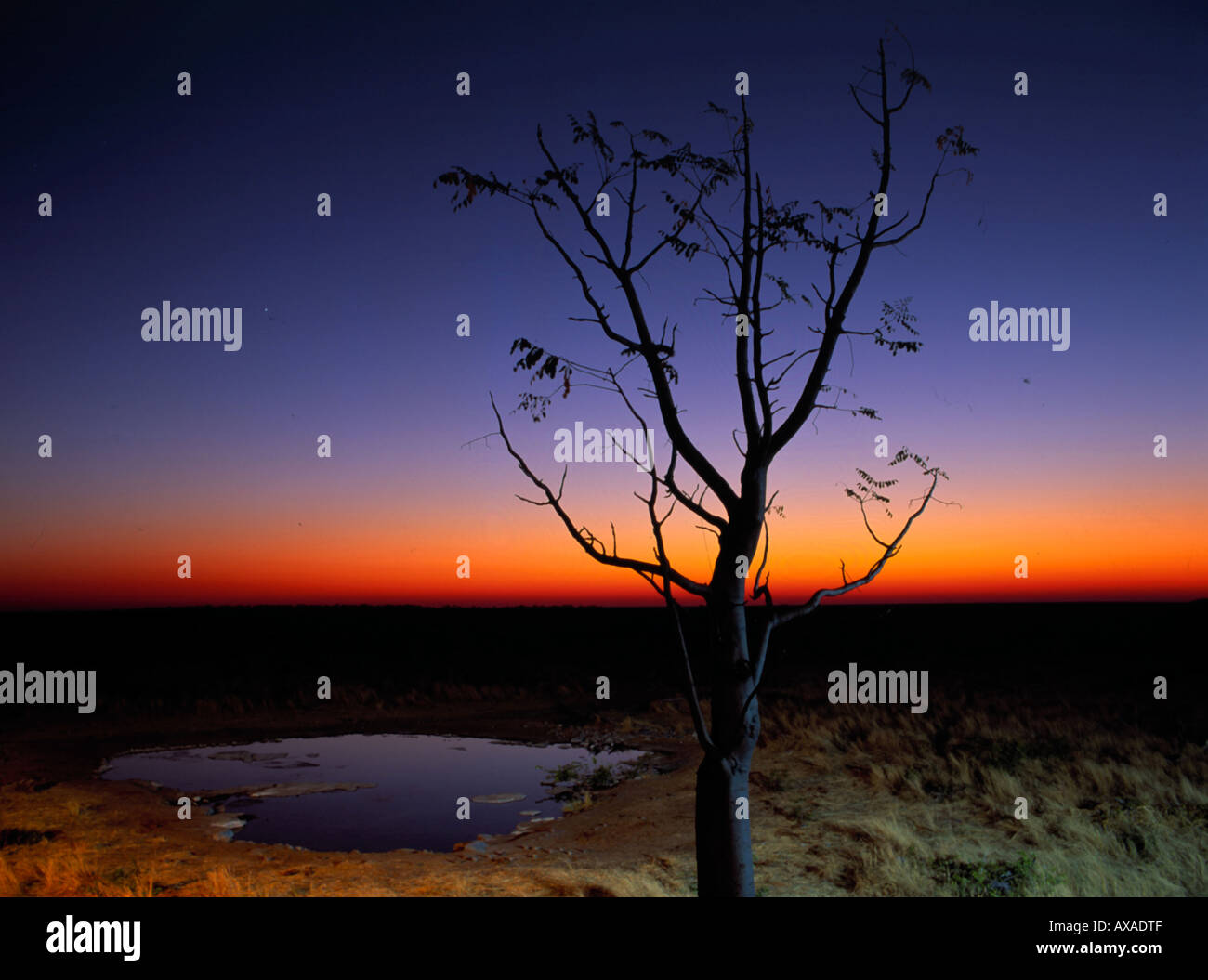 Sunset over an African plain, Evening atmosphere, Wilderness, Namibia, Africa Stock Photo