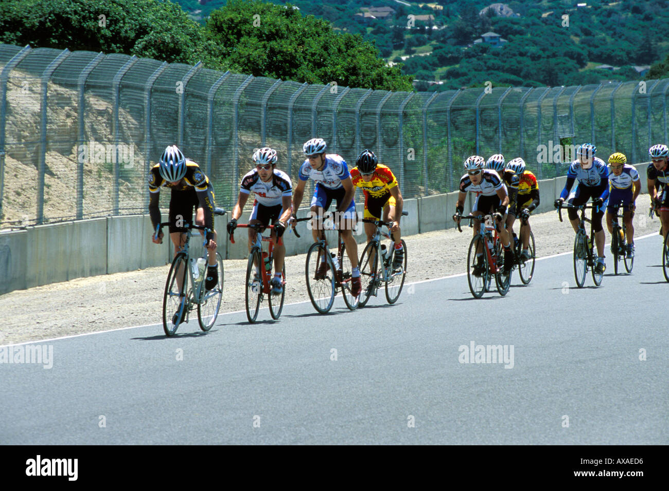 California Monterey Sea Otter Classic Stock Photo Alamy