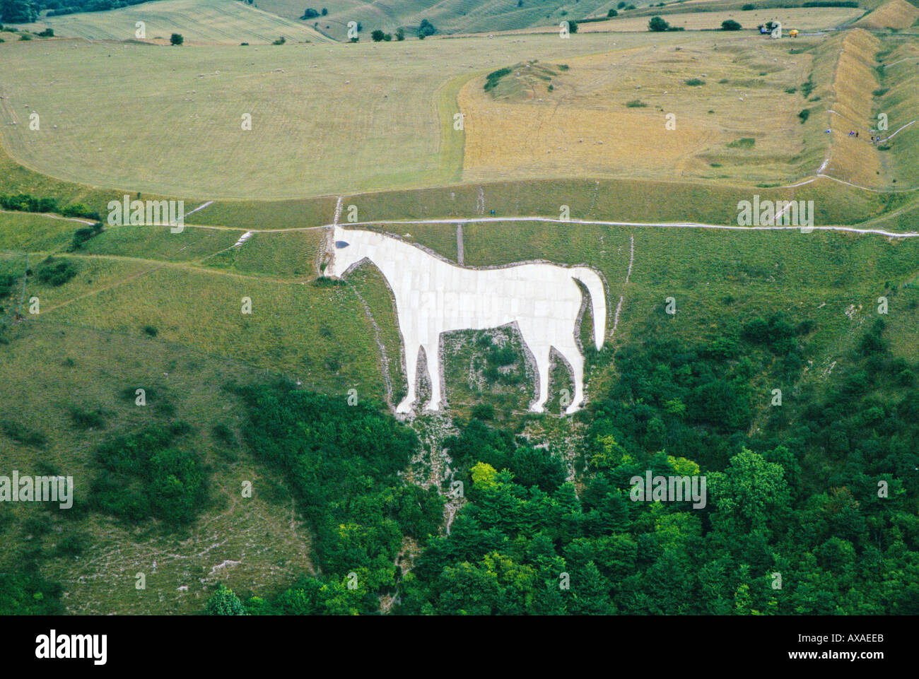 Aerial view of Westbury White Horse hill figure Wiltshire UK Stock Photo