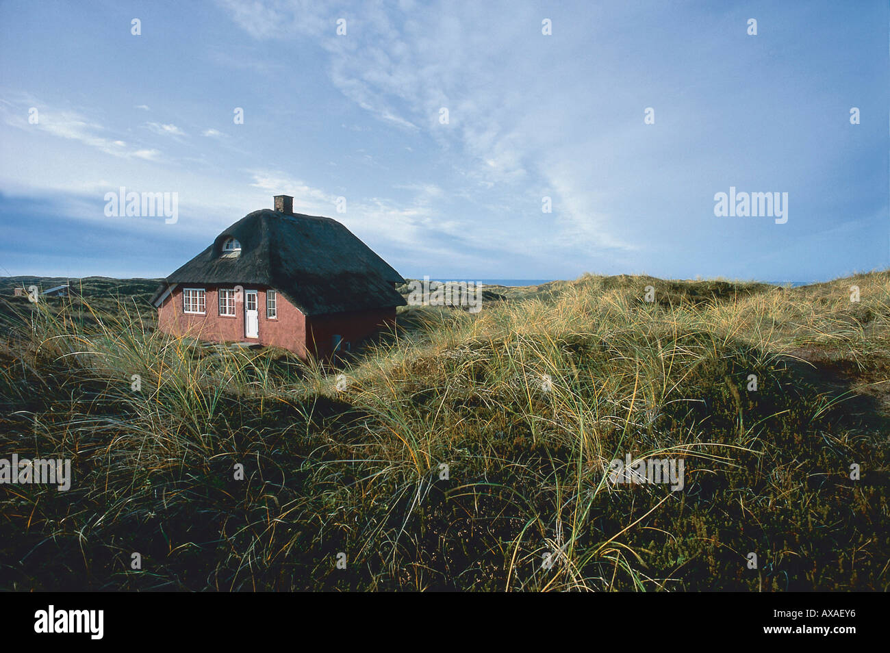Haus in den Duenen, Verjersstrand Daenemark Stock Photo