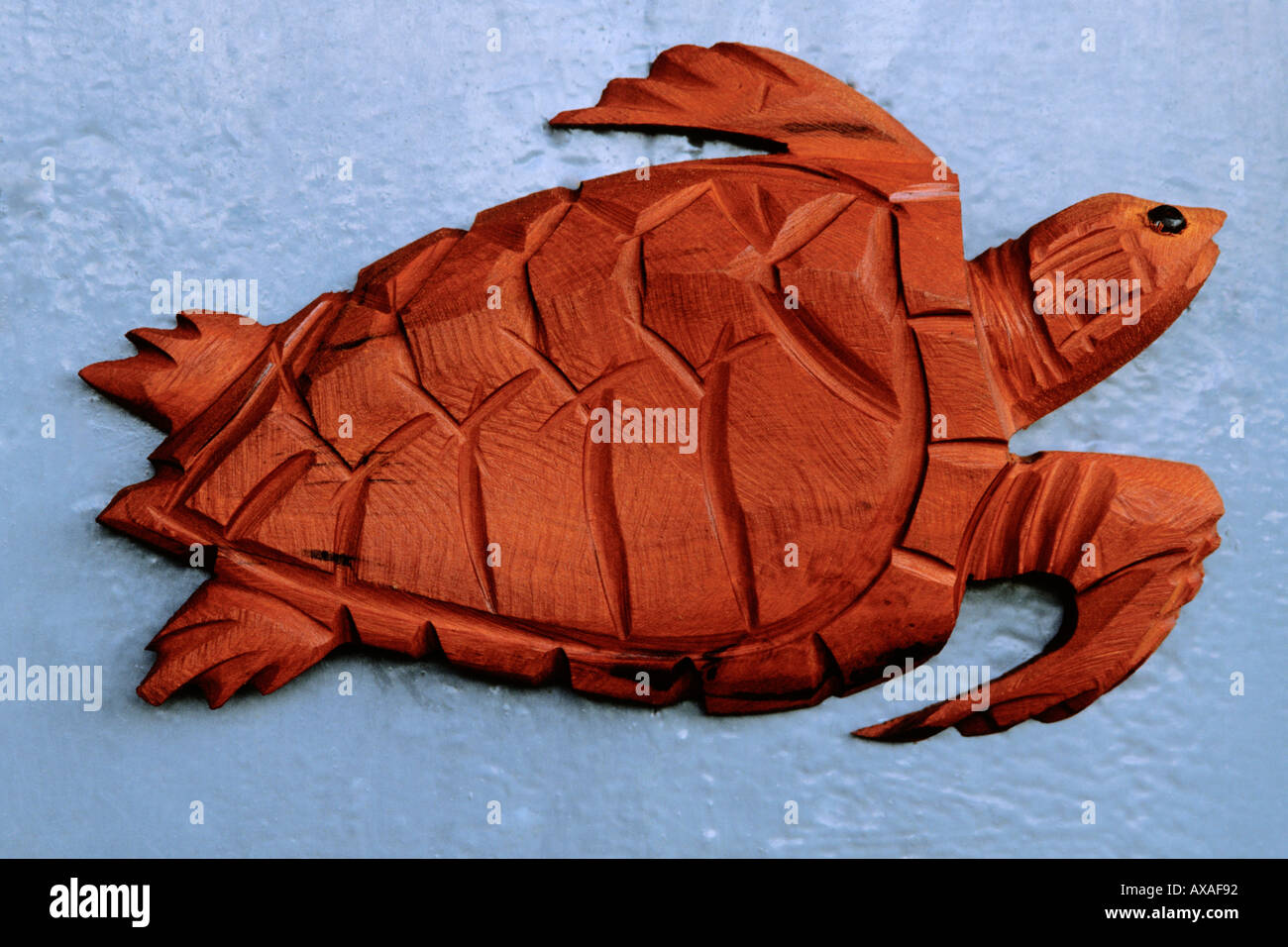 Art, Wood carving, sea turtle by Carl Henry Stock Photo - Alamy