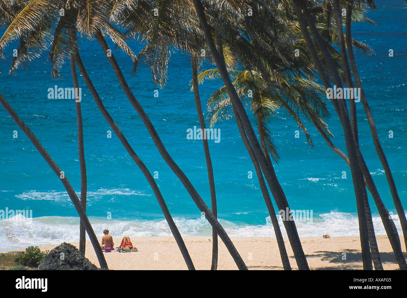 Bottom Bay, Barbados Karibik Stock Photo