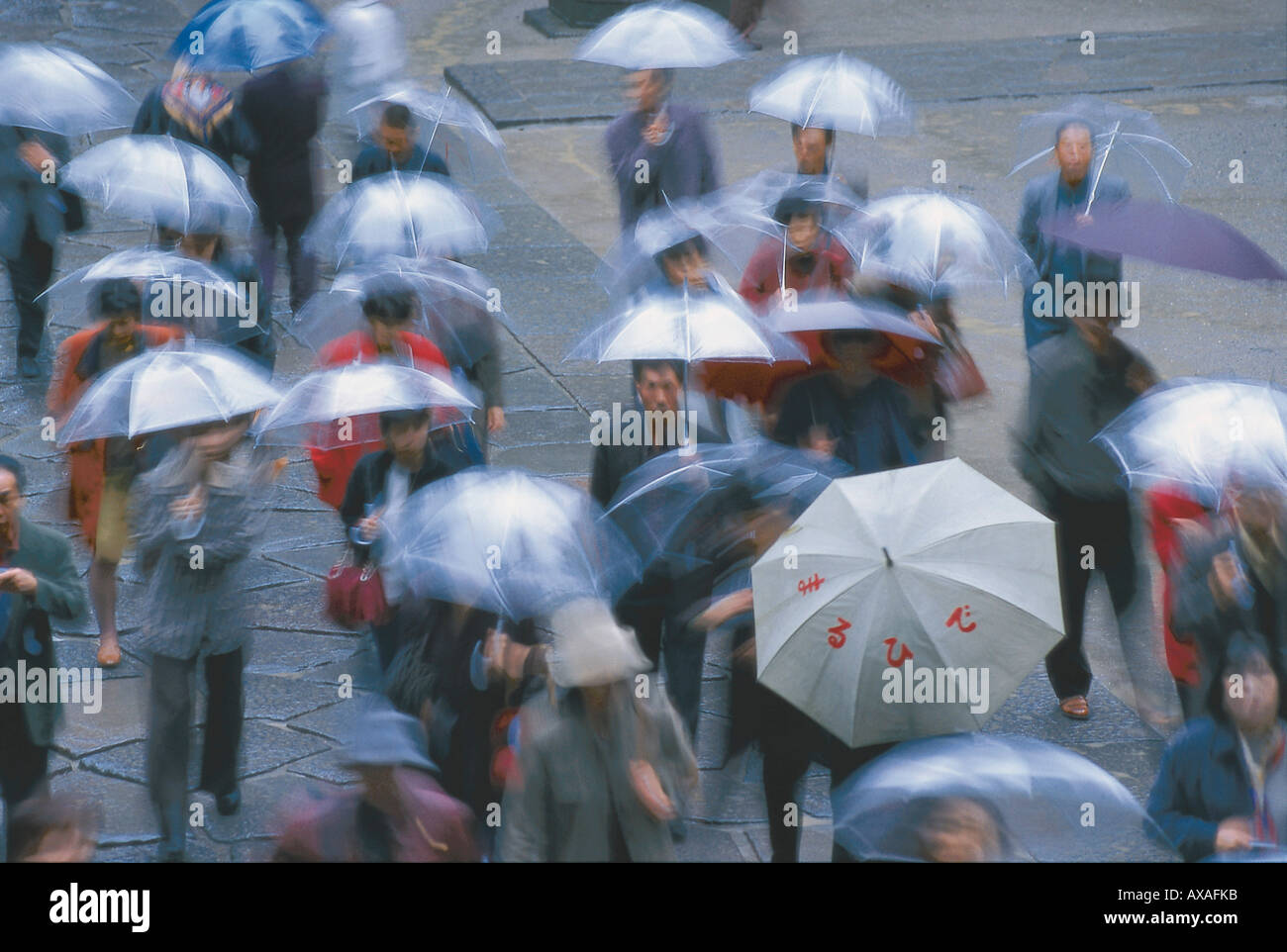 People with umbrellas, Nikko National Park, Nikko, Japan, Asia Stock