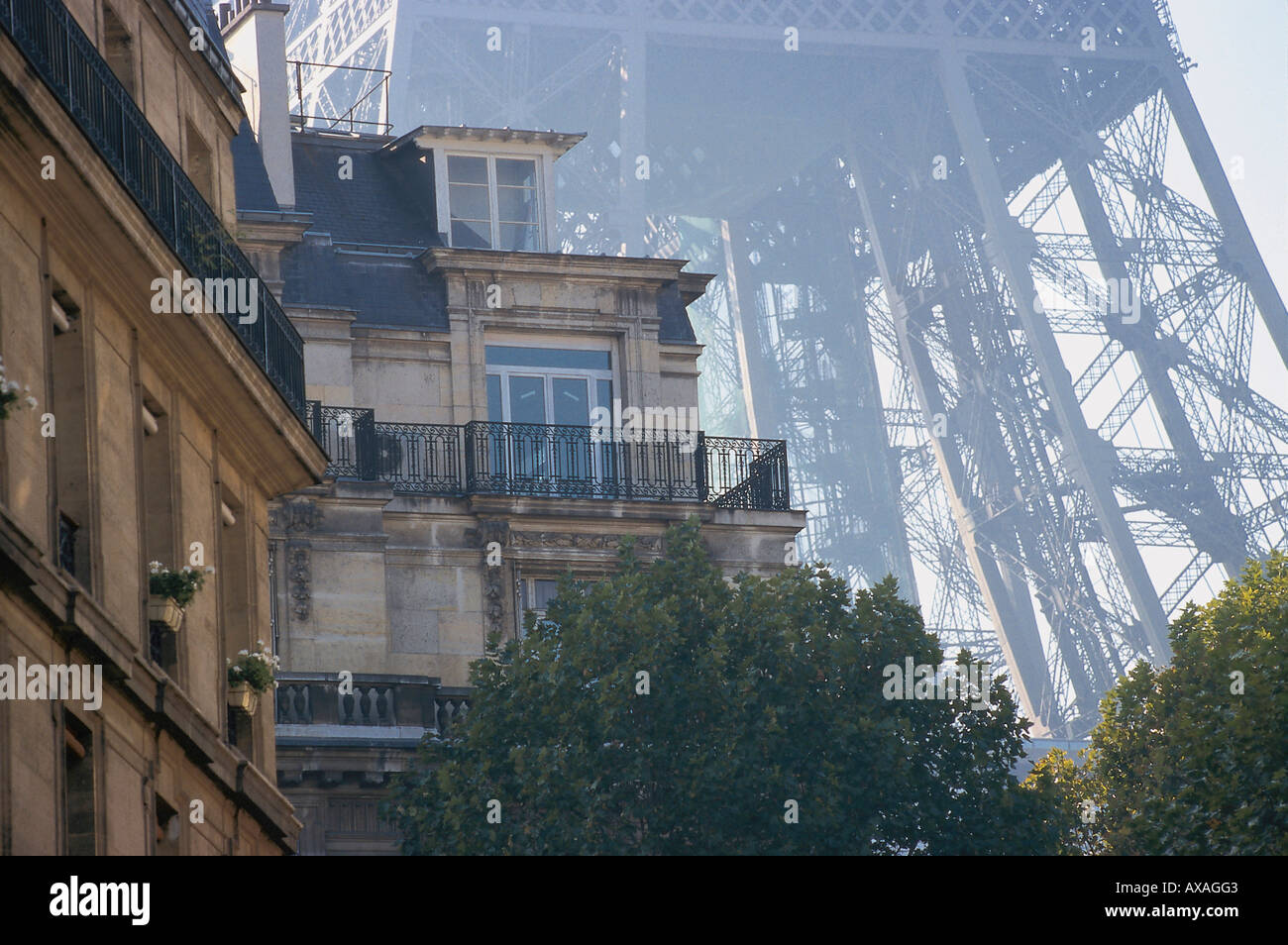 Eiffelturm, Paris Frankreich Stock Photo