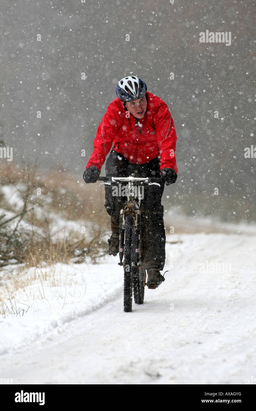 Mountain biker in blizzard snow storm in winter in Fetteresso forest, Aberdeenshire, Scotland, UK Stock Photo