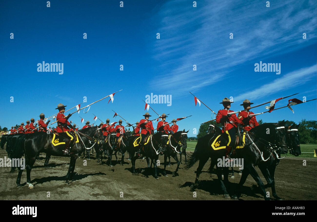 practice session for touring show of riding skills by RCMP Mounties Musical Ride CANADA Stock Photo