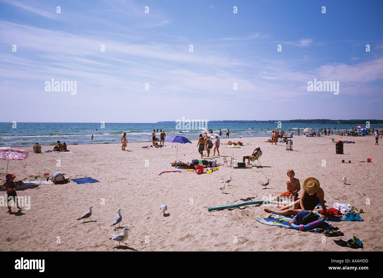 Outlet Beach has fine sand and shallow fresh water West of Picton Prince Edward County Ontario CANADA Stock Photo