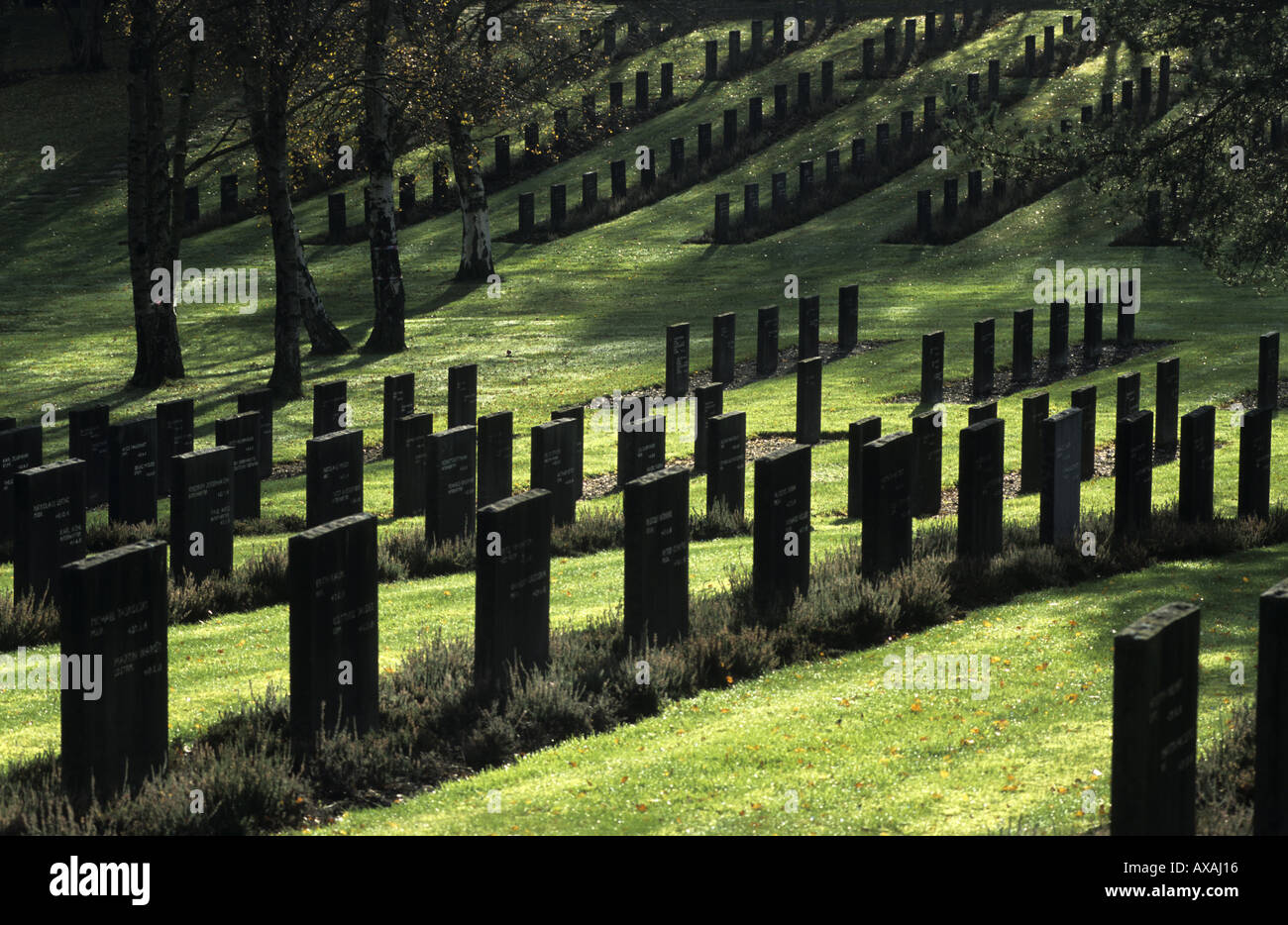 German Military Cemetery, Cannock Chase, Staffordshire, England, UK Stock Photo