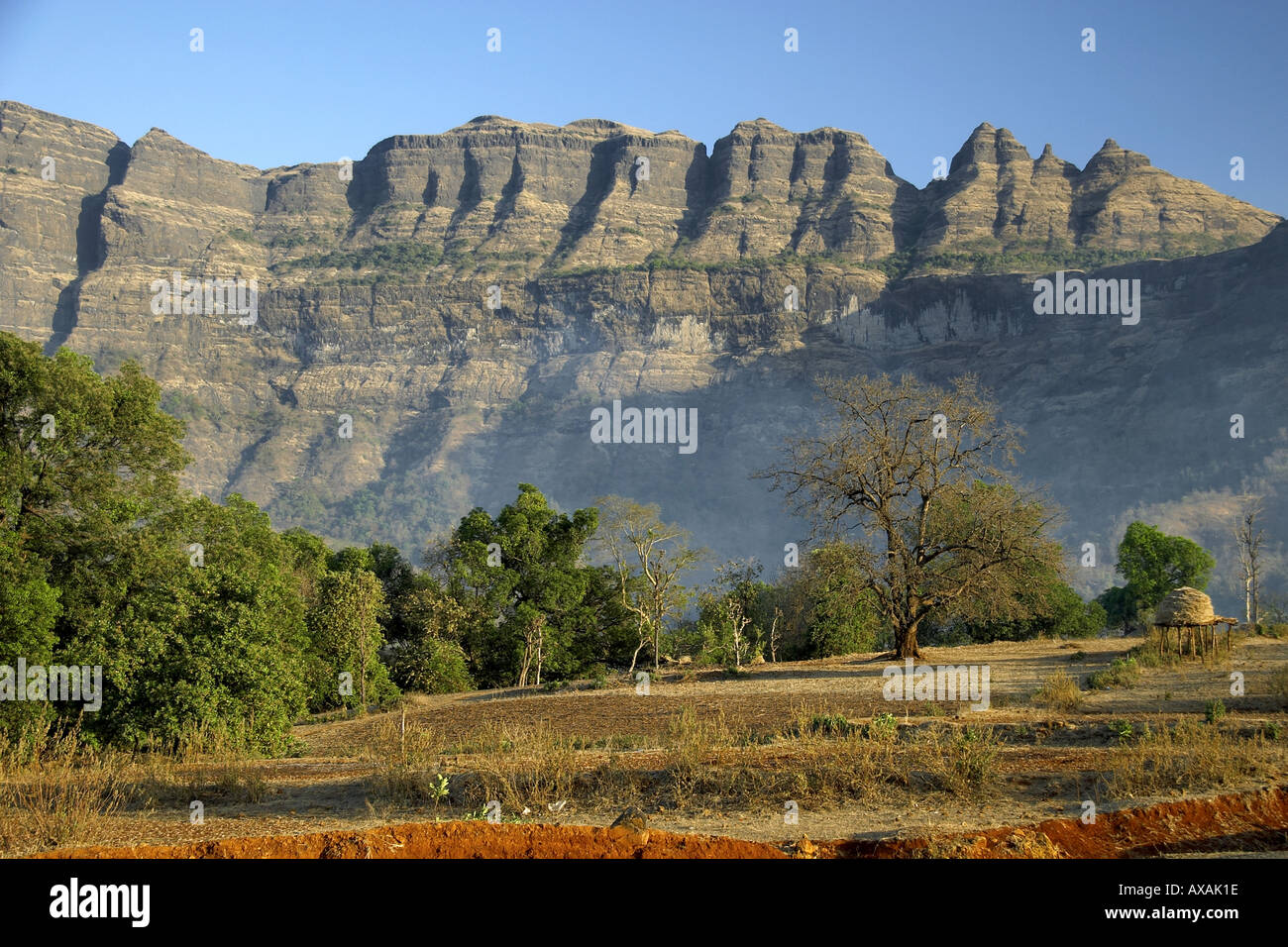 Forest below Western Ghats mountain range from Kalyan Nagar Road near Stock Photo 5479197 Alamy