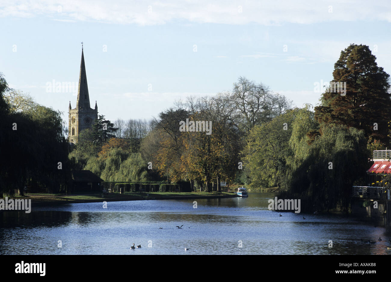 River Avon and Holy Trinity Church in autumn, Stratford-upon-Avon, Warwickshire, England, UK Stock Photo