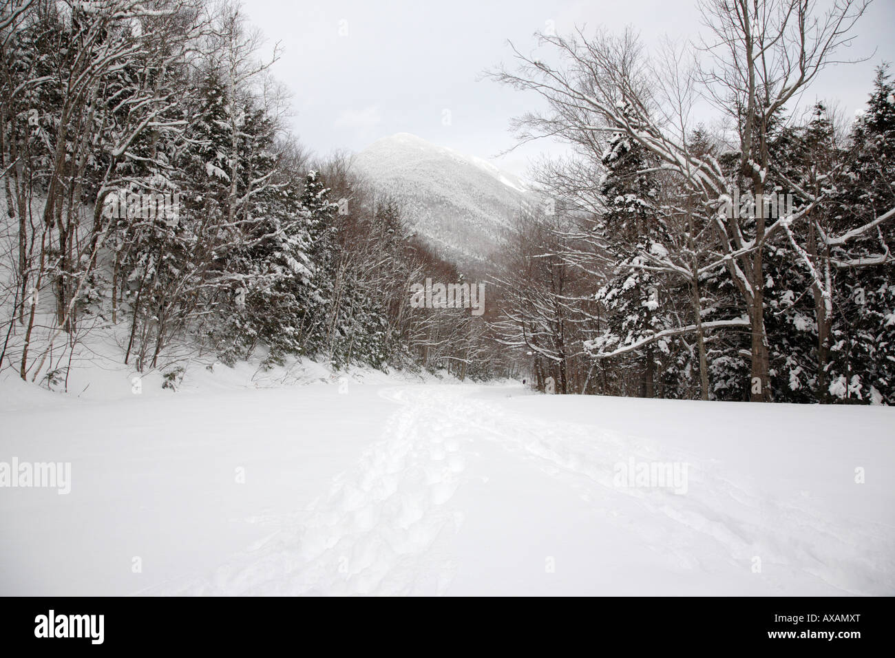 Appalachian Trail WIlley House Station Road Trail during the winter months Located in the White Mountains New Hampshire USA Stock Photo