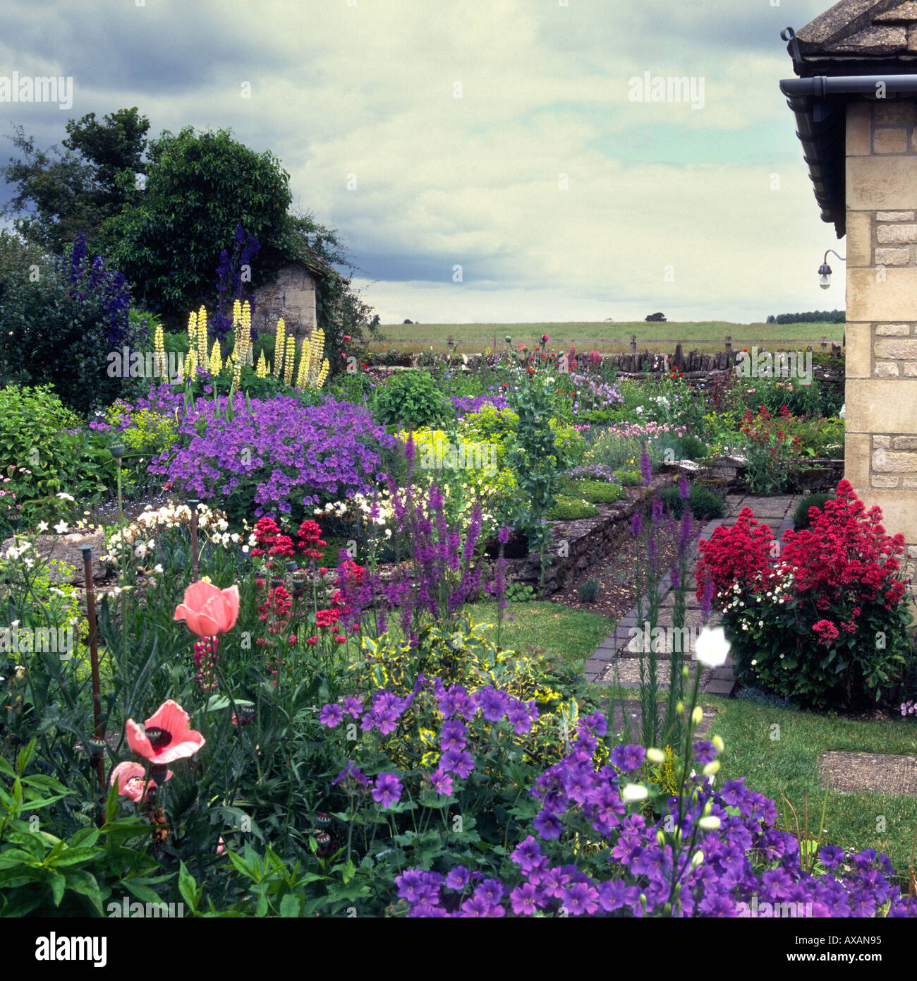 Summer cottage garden style border Stock Photo