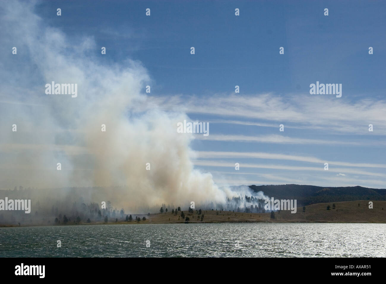 a forest fire Stock Photo - Alamy