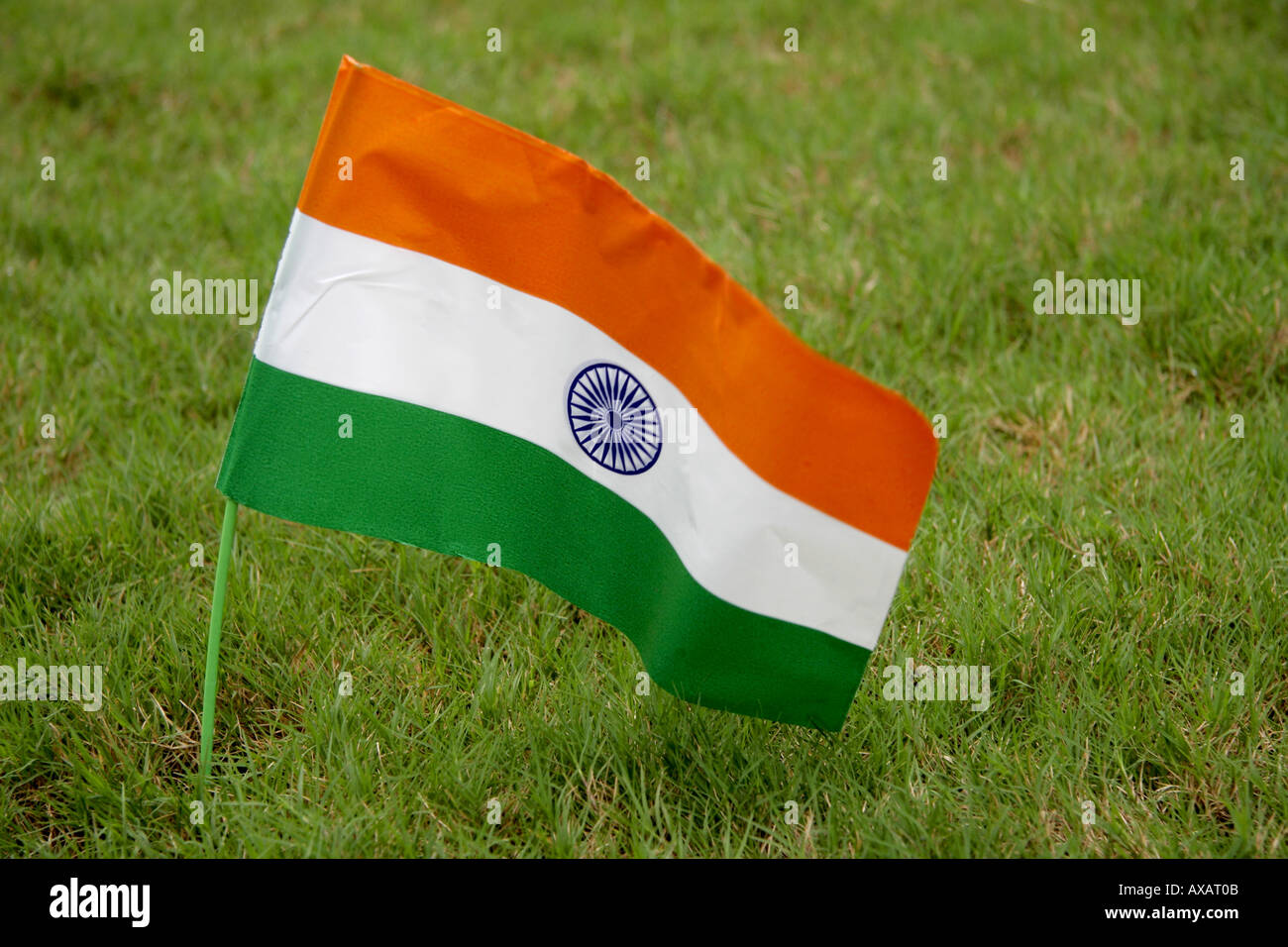SSK73942 Indian Flag of India saffron on top olive at bottom white with