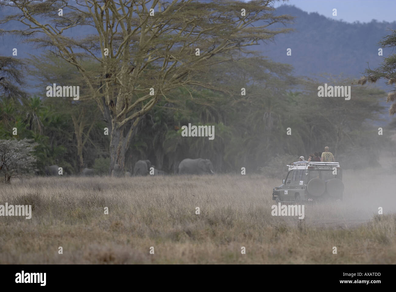 Safari in Ngorongoro conservation area Tanzania Africa Stock Photo
