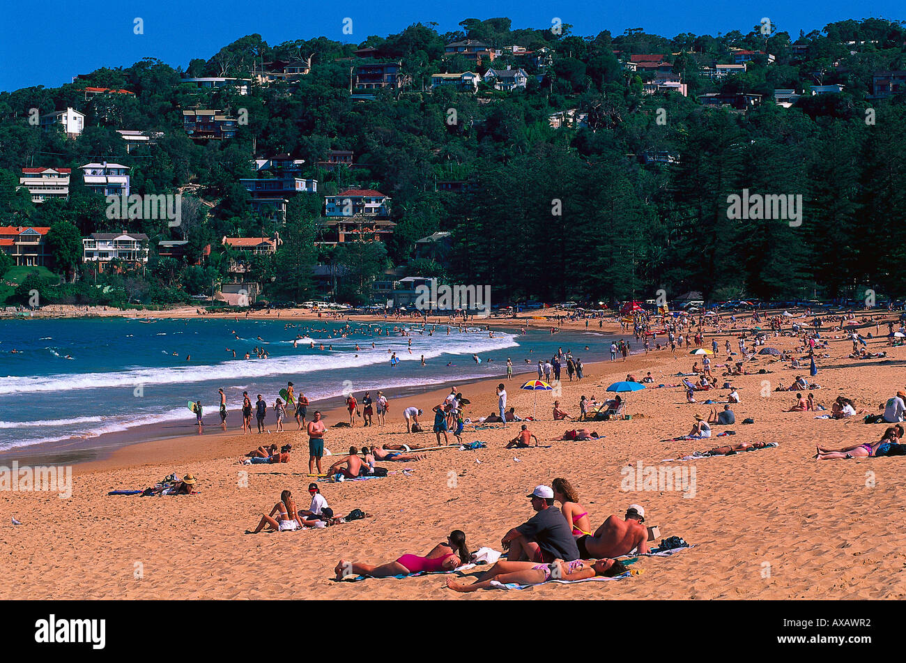 Palm Beach, Sydney, NSW Australien Stock Photo Alamy