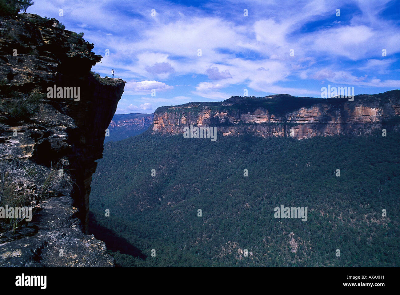 Grose valley blue mountains hi-res stock photography and images - Alamy