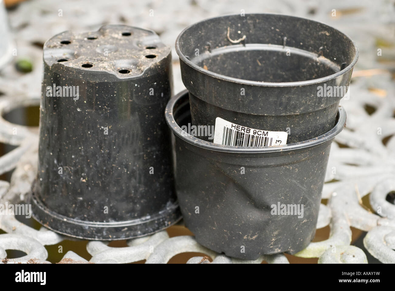 Black plastic pots hi-res stock photography and images - Alamy