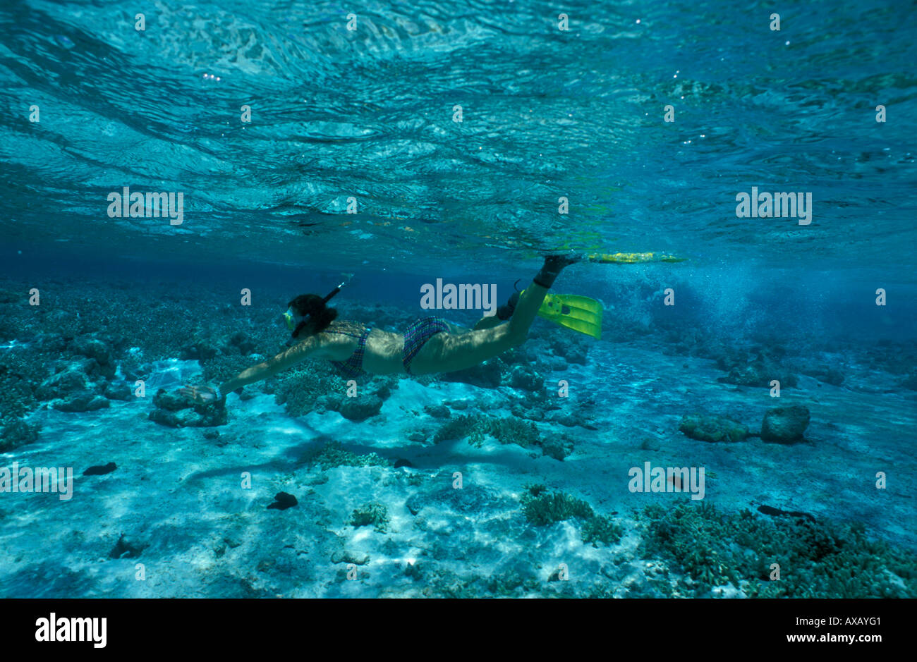Snorkeling off Prison Island, Cocos Keeling, Islands Australia Stock