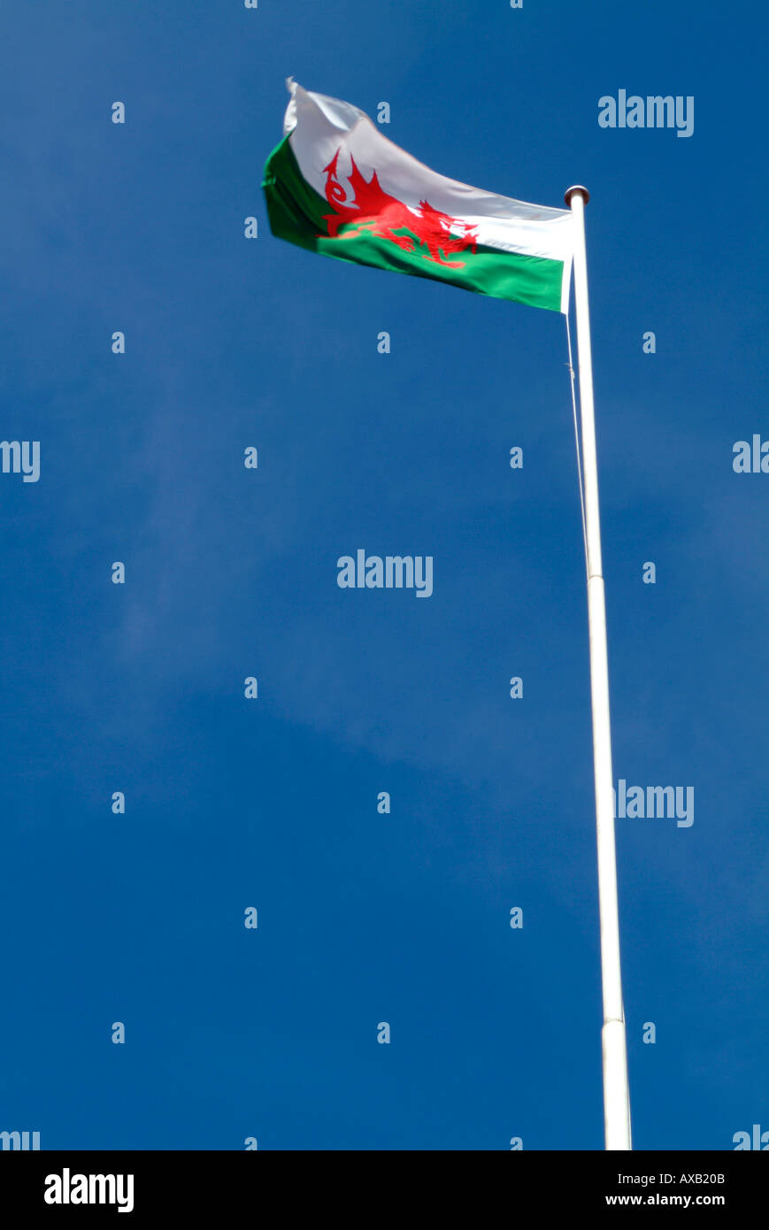 Flag of Wales Stock Photo