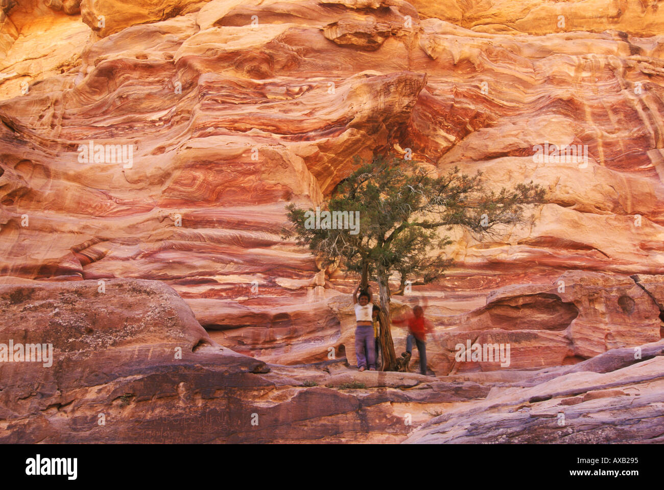 Jordanian children playing by a tree near Jabal al Qattar Petra Jordan Middle East eye35.com Stock Photo